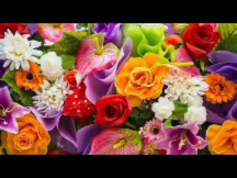 Chaar Shanivaar Song All Is Well