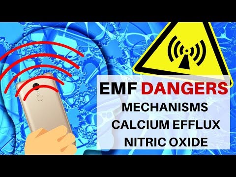 EMF Danger: Basic Cellular Mechanisms, Calcium Efflux & Nitric Oxide