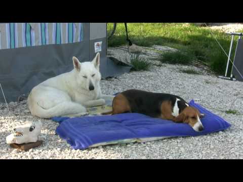 Camping Ulika - BBQ on the Beach - 24 mei 2010.avi
