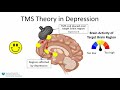 Transcranial Magnetic Stimulation A New Treatment Approach For Psychiatric Disorders