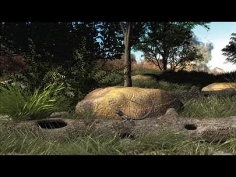 Animal Behaviour through a Virtual Lens