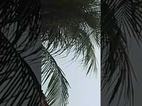 Chuva em Sobral Ceará hoje 12/03/2026