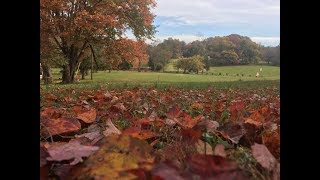 Autumn Fall Colors Glory On Our Virginia Homestead November 1 2018