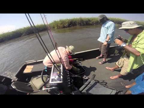 Okavango Tigerfish Botswana Kubu Queen 2014 (Part 1)