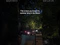 It S Dead Only 9pm