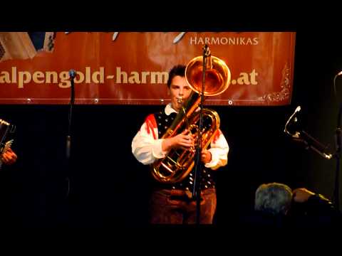 Lipizzaner Reitermarsch - Mladi Korenjaki