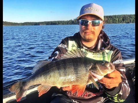 ISO 44CM JA 1.16KG AHVEN | ORKA SHAD TAIL