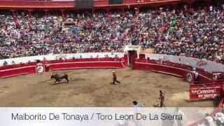 Jaripeo Carnaval Autlan 2015 HD