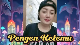 Download lagu Nunung Alvi PENGEN KETEMU. mp3