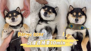 Download lagu 【ASMR 10分钟纯享2.0】曼玉沉浸式SPA | 柴犬吃播 | 助眠视频颅内享受 mp3