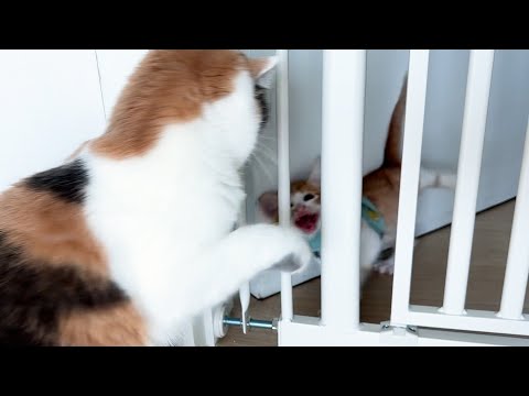 너가 까불어 놓고 너가 놀라는 게 어디 있냐