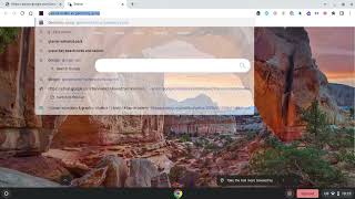 Unblocking Chrome Web Store On Chromebook *And Getting Leaf Browser!