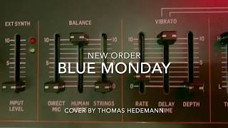New Order - Blue Monday (cover by Thomas Hedemann)