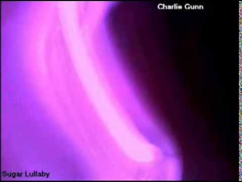 Charlie Gunn - Sugar Lullaby (Full Demo)