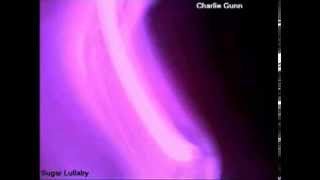 Charlie Gunn - Sugar Lullaby (Full Demo)