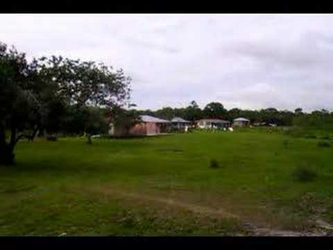 Taurus Ripley She's Royal.