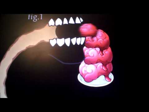 plants vs zombies rocks.AVI