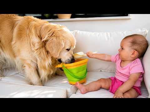 YouTube 썸네일