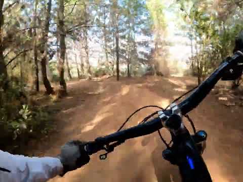 Pista Antena / Los Perros