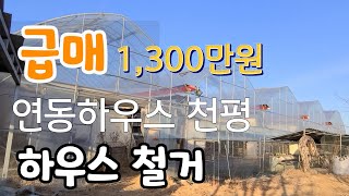 급매 !! 연동하우스 1,000평 하우스 철거