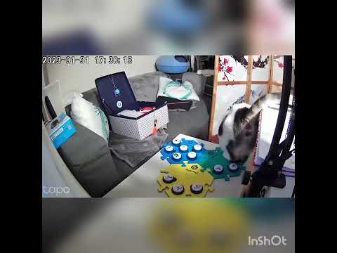 Sabriel being awfully chatty but not very decided on what she wants.