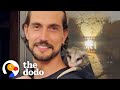 Orphaned Baby Opossum Snuggles In Her New Dad S Hoodie The Dodo