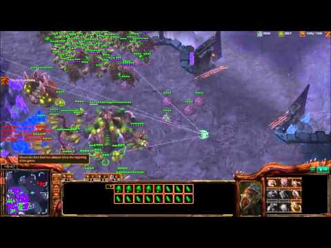 Elders React to Coaching from Catz - Hour 2