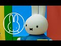 Miffy S Surprise Miffy And Friends
