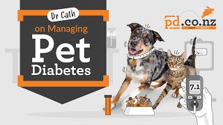 Pet Diabetes Month - Cat and Dog Diabetes, Symptoms, Risks and Treatment