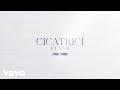 Medy feat. Nabi - Cicatrici (Visualizer)