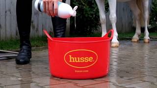 Husse Chien Chats Et Chevaux Versailles Alimentation Animale Adresse