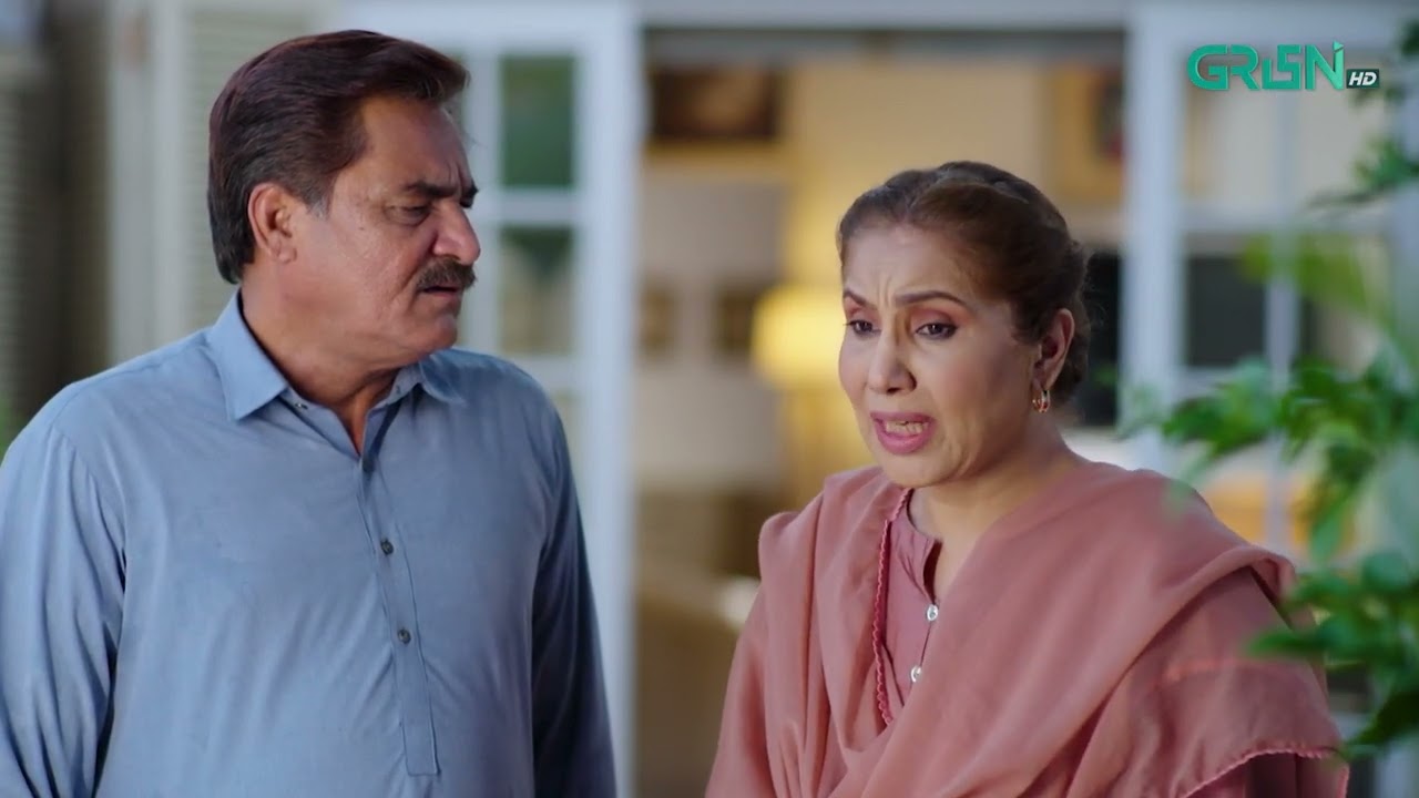 Aik Bhool Episode 33 | Best Moment 02 | Green TV Entertainment