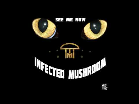 Infected Mushroom - 