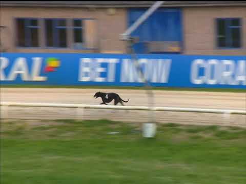 Aayamza Breeze - Coral Regency Heat 3 Hove 26/04