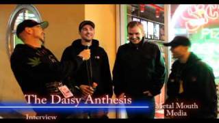 Metal Mouth Media Interview - The Daisy Anthesis