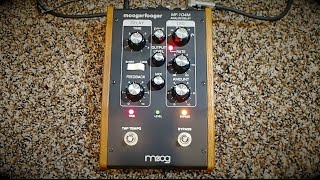 Video thumbnail for Moog Moogerfooger MF-104M Analog Delay by Pedal of the Day