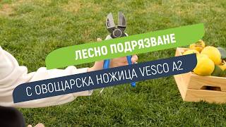 Vesco A2 - професионална овощарска ножица за прецизна резитба | До 25 mm