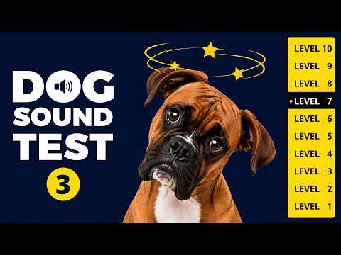 DOG SOUND TEST 3 🐶🔊 10 Levels to Test Your Dog’s Ears!