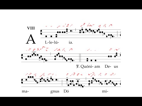 Alleluia: Quoniam Deus