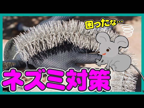 ネズミ捕り 鶏小屋からげっ歯類を遠ざける 卵忌避剤 卵 シリアル