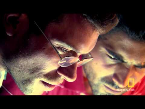 Prigionieri di viaggio: Soldi falsi