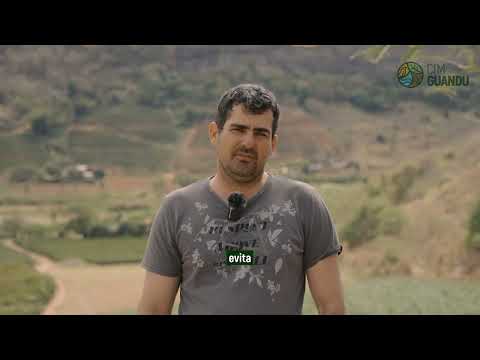 Biodigestores em Laranja da Terra