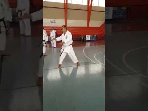 Asai-ryu karate, Kihon, Whip arm technique practice with Tenshin and stepping forward