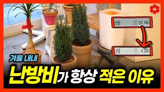 [꿀팁] 식물로 난방비 폭탄 피하는 방법, 이렇게 하면 하루종일 틀어도 되요ㅣ건성, 민감성 피부인 분들 꼭 …
