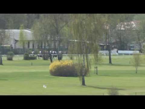 KV, 30. 4. 2016, 5. dostih - Jarní cena Fredericks & von der Horst