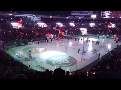 Düsseldorfer EG gegen Straubing Tigers 02.01.2016