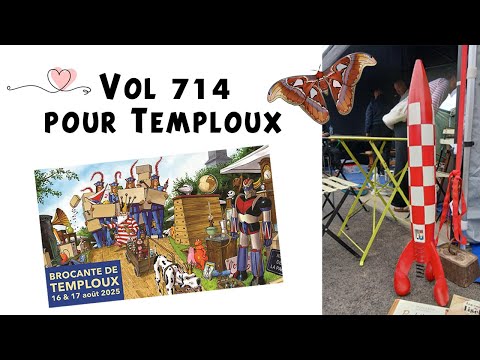 Les trésors de Tintin à la brocante de Temploux