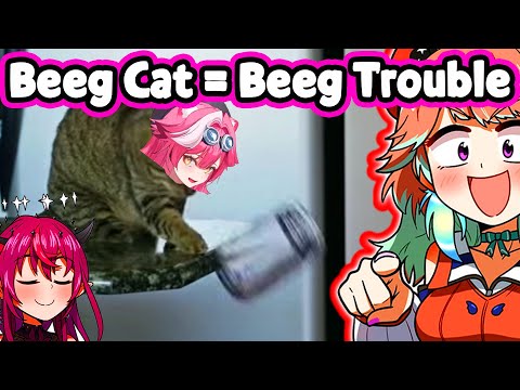 IRyS and Kiara Saw Peak Raora Cat Behavior || Hololive EN || IRyS and Kiara Saw Peak Raora Cat Behavior || Hololive EN ||