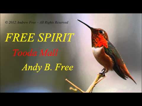 Andy B. Free - Tooda Mall - Funny soft rock song from album Free Spirit