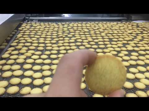 Wire cut cookies production line Biscuit /wafer/cookie/sandwiching Production Line -APEX MACHINERY